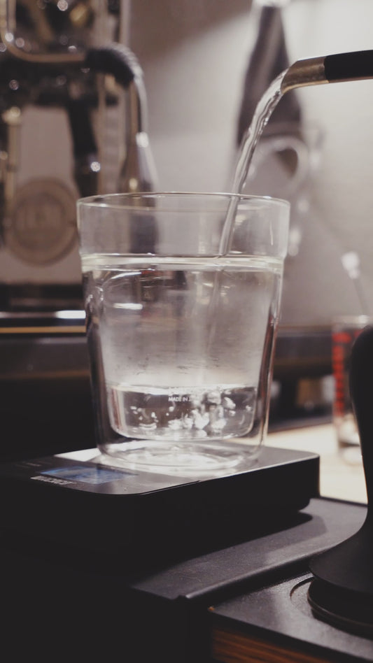 Abso Coffee Pop‑Up Experience